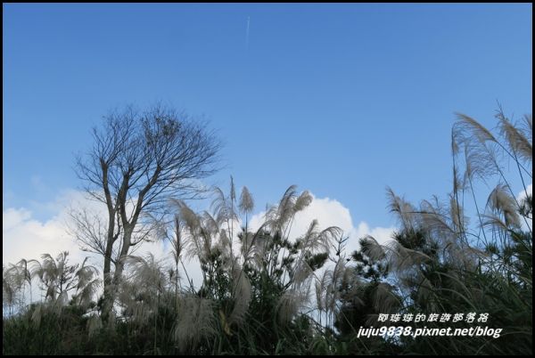 秀才登山步道233449