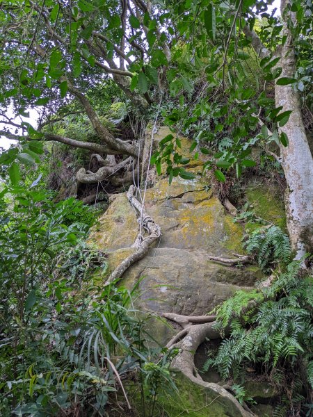 麟光至萬隆 南港山列 福州山 中埔山 芳蘭山1663776