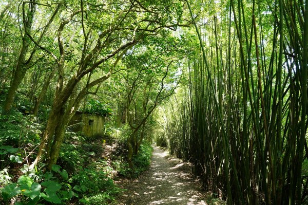 宜蘭 礁溪 三角崙山2548292