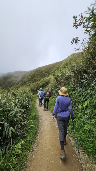 【我的第一個教師節🤣🤣】解鎖第51座小百岳#083三角崙山（抹茶山、聖母登山步道）2900606