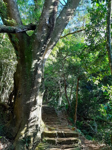 臺北大縱走2：興福寮登山口至小油坑791043