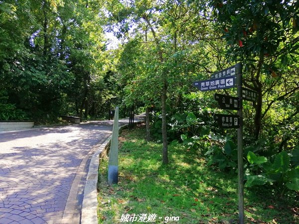 【新北。金山】獅頭山公園步道~遠眺金山八景之燭臺雙嶼1458194