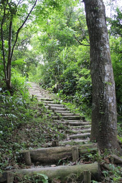 淡蘭中路平湖西步道1002830