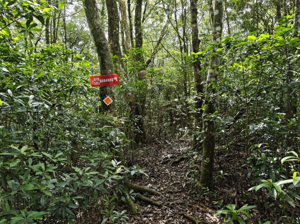 2025_0601 赫威山2802313