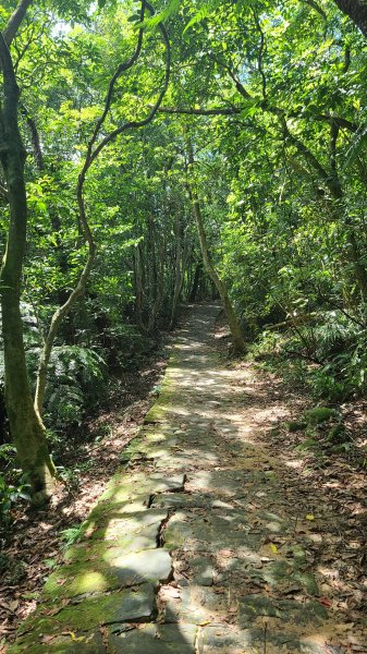 2023-0923翠山步道_金面山_碧湖公園2292070