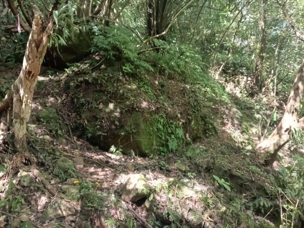 平溪區南山坪蝙蝠洞(濕洞)+平湖山+平湖尖+蝙蝠洞(乾洞)O型2833881