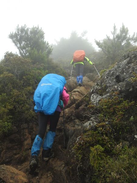 20180819雨中登頂之桃山日出392450