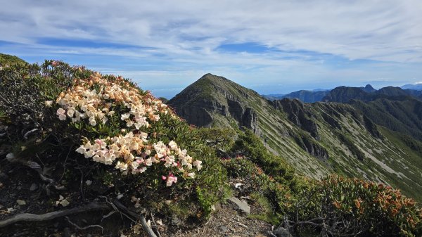 20250622 一日單攻雪主2919330