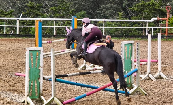 #中山樓 #陽明公園 #十八份 #吉野櫻 #墨染櫻（花葉同開） #山海觀馬場 #黃花風鈴木
