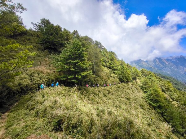 2025-08-24 塔塔加-大鐵杉-鹿林山莊-鹿林前山-鹿林山-黑森林-玉山登山口-上東埔