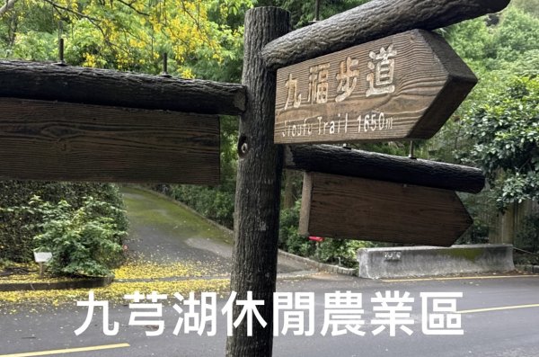 九芎湖步道群：九福、觀南、霽月步道走一圈3073027