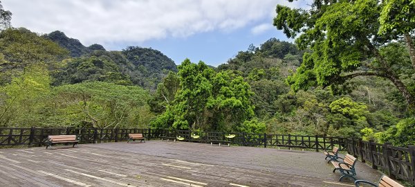 2025/03/16_蓬萊溪護魚步道+萊園坪山2737594