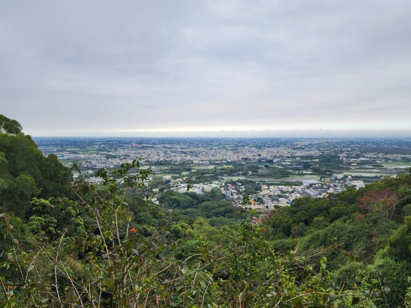 20250223田中大小劍與橫山2939824