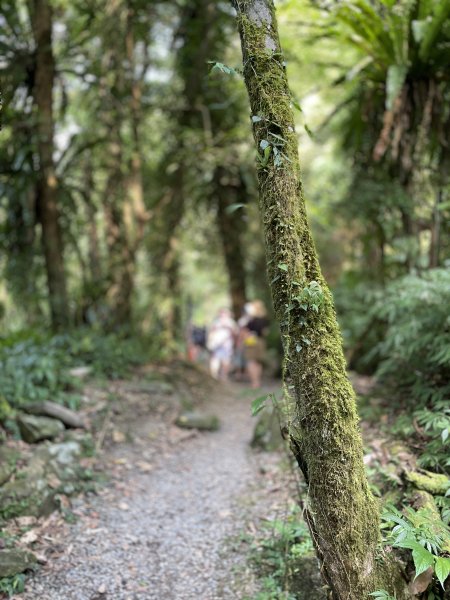 涼意滿滿的〔烏來〕福山部落古圳道消暑趣1777005