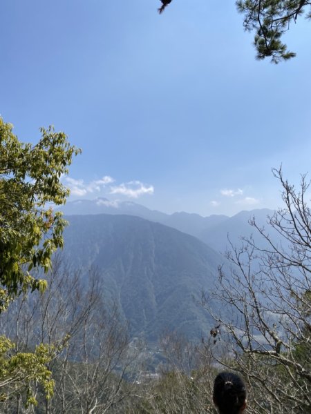 1131006二刷波津加山3093244