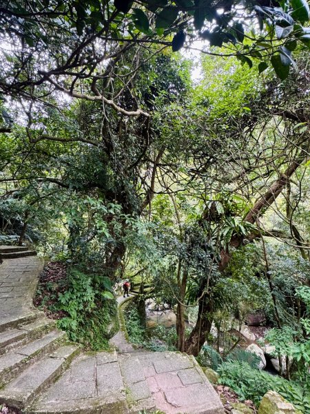 登峰古圳訪高頂山 北五指山 出荷蘭古道 快閃聖人瀑布2981957