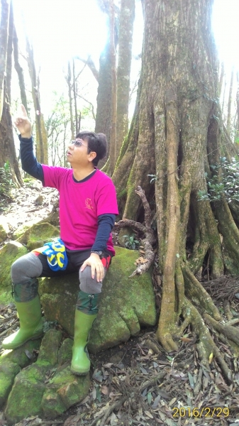 20160229新竹關西蓮苞山,外鳥嘴山31375