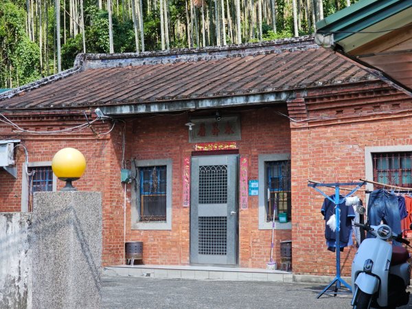 (天上山系)望月亭桐花-2025微笑山線大縱走尋寶集章任務2870338