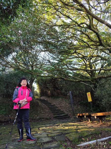 【臺北大縱走 2】【第二回合全程完成證書】鞍部→大屯山步道→大屯山主峰→大屯坪步道→二子坪步道2960349