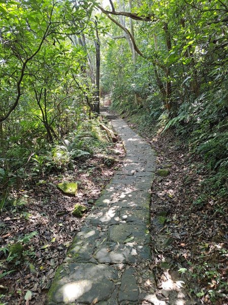 台北大縱走第五段 捷運劍潭站至碧山巖2800511