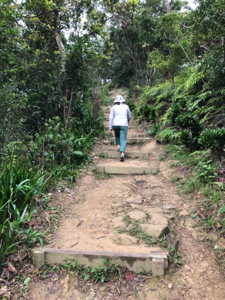 南勢角山（烘爐地—青春步道）550204