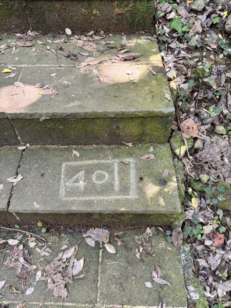 龜山島 401 高地登島2899106