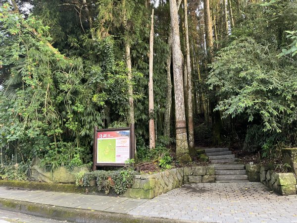 [嘉遊好步道．來嘉走走-04/10] 2024_1011 阿里山頂湖步道2624778