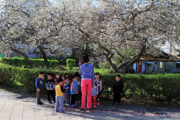 漫遊北埔老街秀巒公園838911