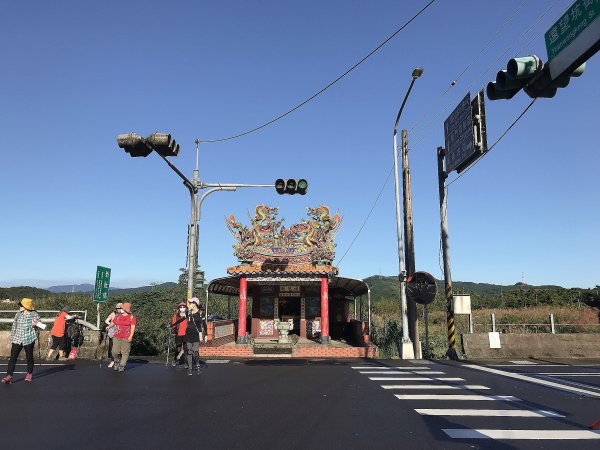 ~  賞秋芒  --  草嶺古道  ~1523247