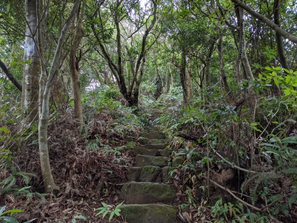 樹梅古道拇指山象山1515927