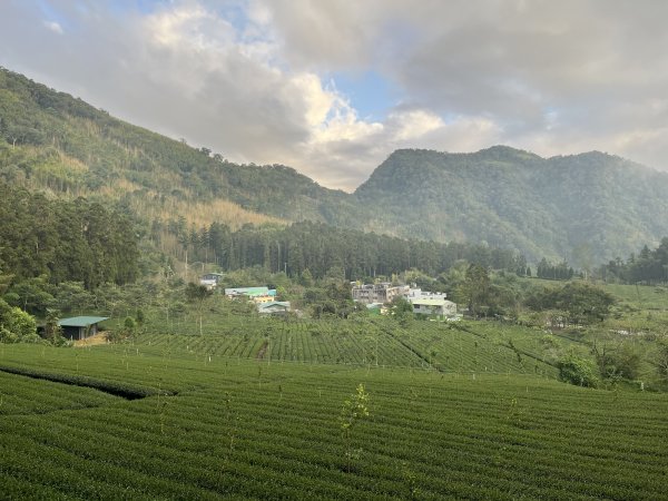[嘉遊好步道．來嘉走走-04/10] 2024_1011 阿里山頂湖步道2624770