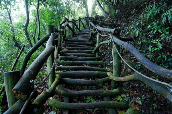 臺中 新社 頭嵙山2309720