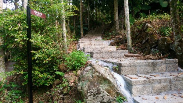 樟湖山、後棟仔山、大尖山、二尖山4山連走1337001