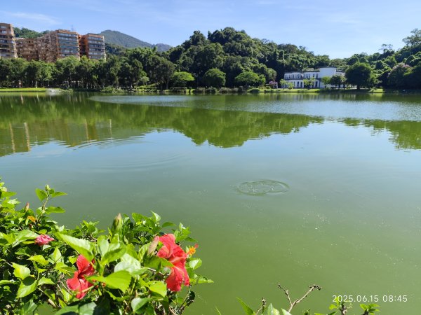 內湖碧湖公園步道、郭子儀紀念堂、獅頭山、大港墘公園、宏匯瑞光廣場2813420