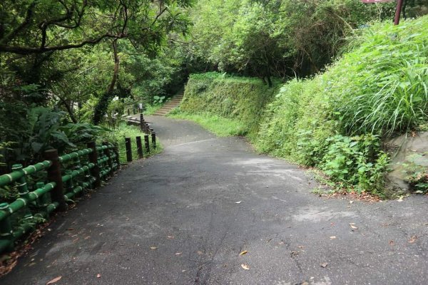 〔暖暖〕 暖東峽谷  ，雙溪荷所在 。昔日淡蘭古道中路一段  壯觀滑瀑，新北最大荷花園  唯美黃荷2187577