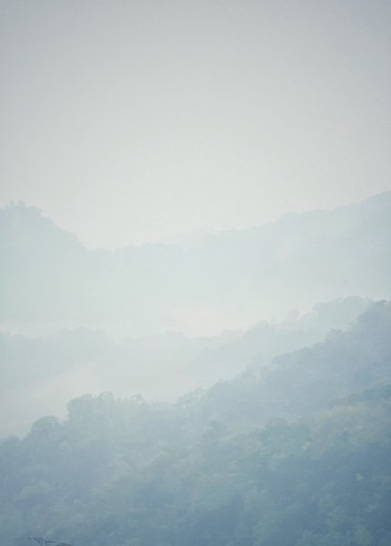 1140101元旦爬山趣2680852