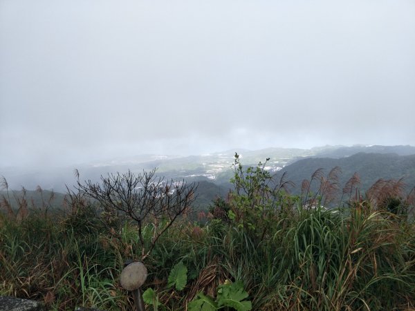 小百岳:五分山1519260