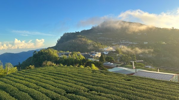 隙頂二延平步道2798958