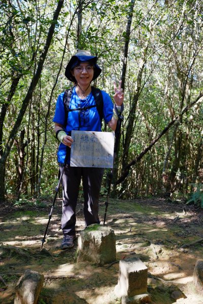 桃園復興區 處暑‧北插天山岩戶線2868410