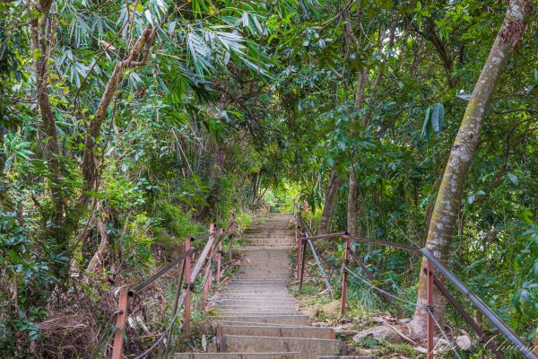 [台中]南觀音山2688166