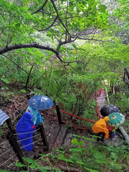 雨中漫步淡水跤頭趺崙步道、楓樹湖步道、天元宮1618540