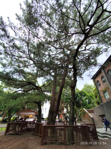 臺大舟山路、大港墘公園、成功高中【臺北健走趣】封面