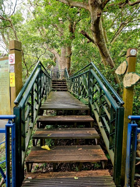 (二格山系)和美山螢火蟲-2025微笑山線大縱走尋寶集章任務2855245