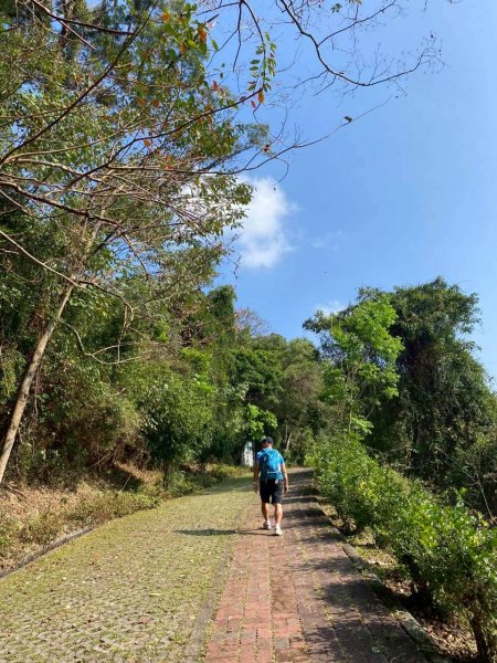 🌈3/7（六）茂林紫斑蝶×龍頭山小長城×多納部落✨FB：熊熊趴爬走🌈3011522