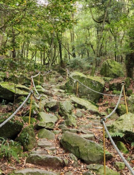【中級山縱走】最美中級山，鳶嘴西稜縱走（鳶嘴山，醜崠山，長壽山）2741387