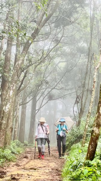 🌈7/20(日)梗枋古道接坪溪古道下石空古道✨FB：熊熊趴爬走🌈2842237