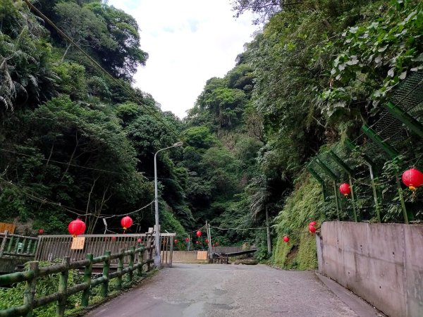 1121104貴子坑親山步道3099490