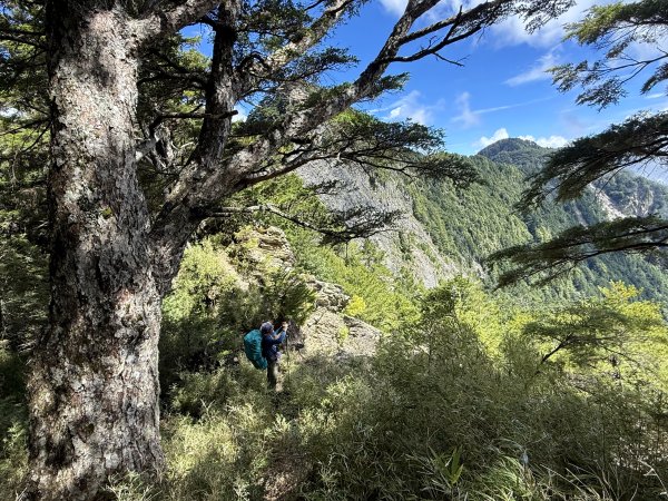 觀雲山莊經小完美谷上畢祿山O繞2917262