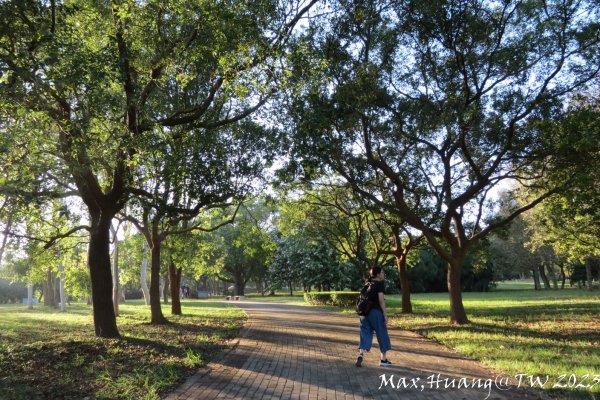 《台中》午後斜陽｜中科東大公園步道202311042336975