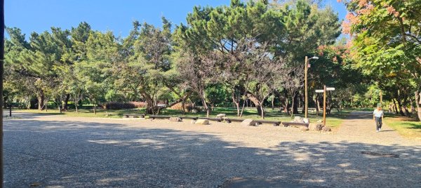 大湳森林公園2910968